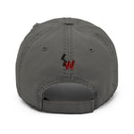 SteezWare CC Distressed Cap